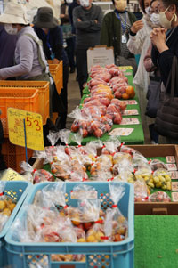 �g�}�g�Z�[��